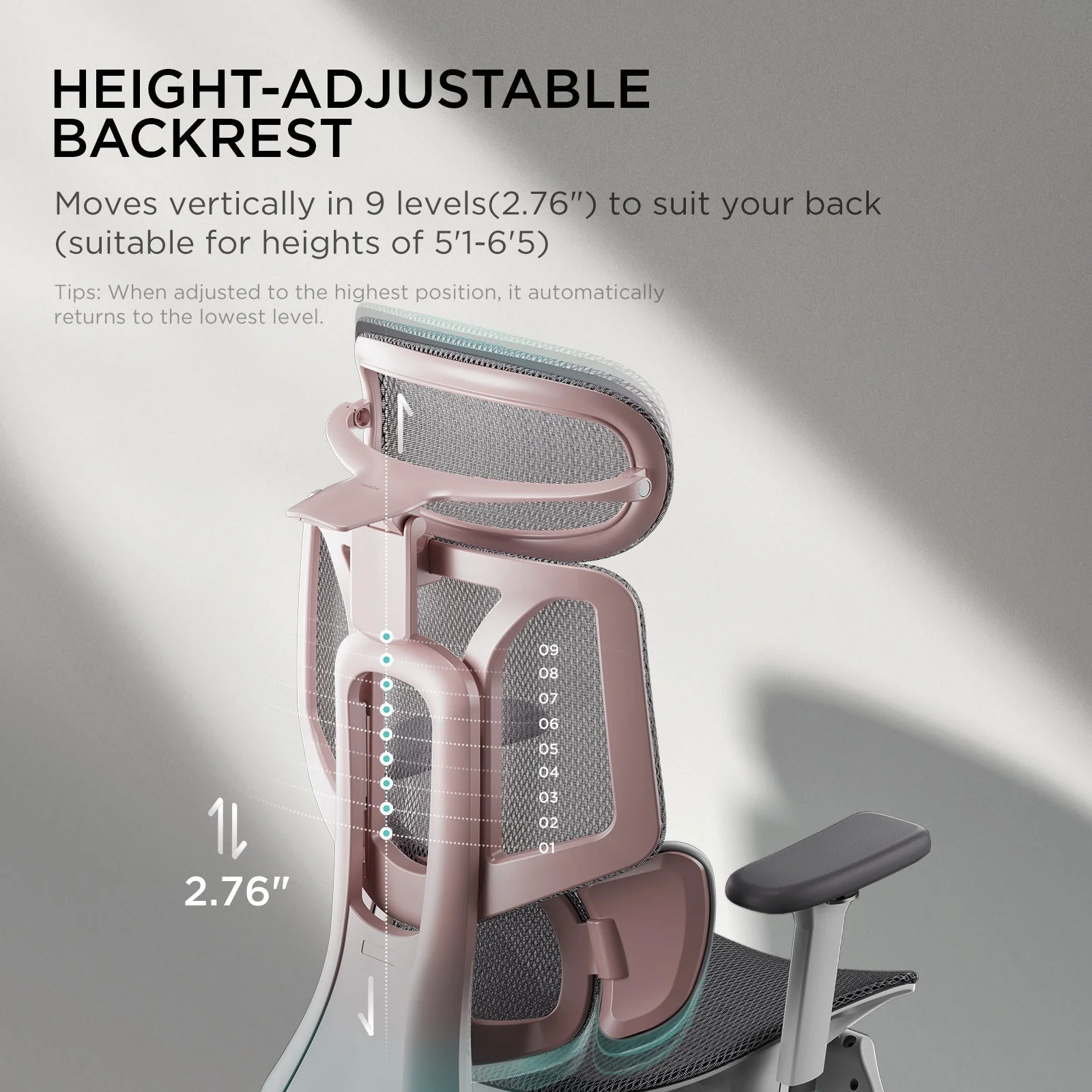 Pro Ergonomic Chair with Footrest