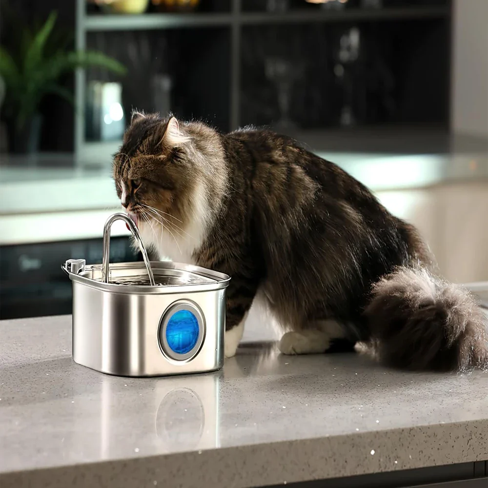 EverPaws™ Premium Pet Water Fountain