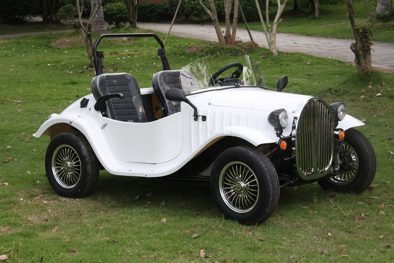 Vintage Sightseeing Car🚗✨ Last Chance—Don’t Miss Out! 🚨