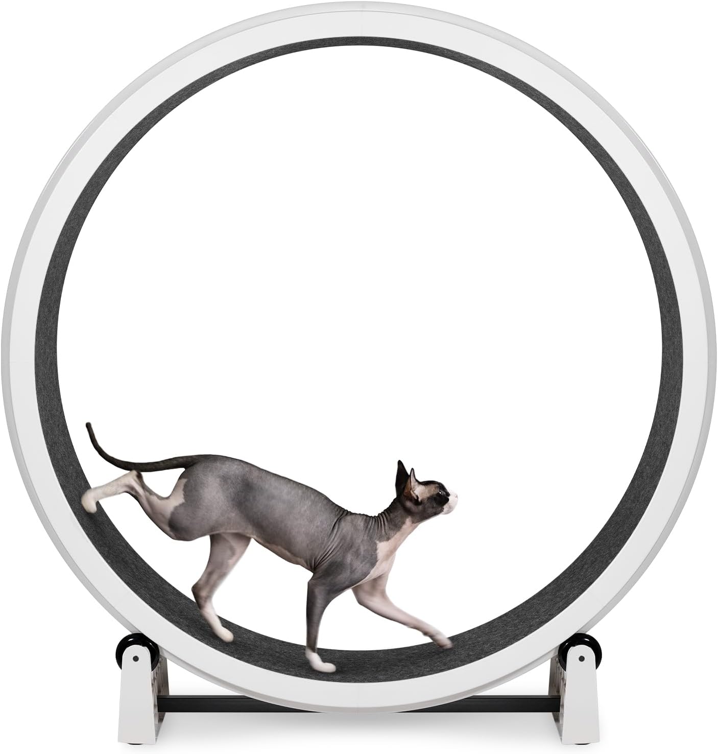 Cat Exercise Wheel  - Safe 48