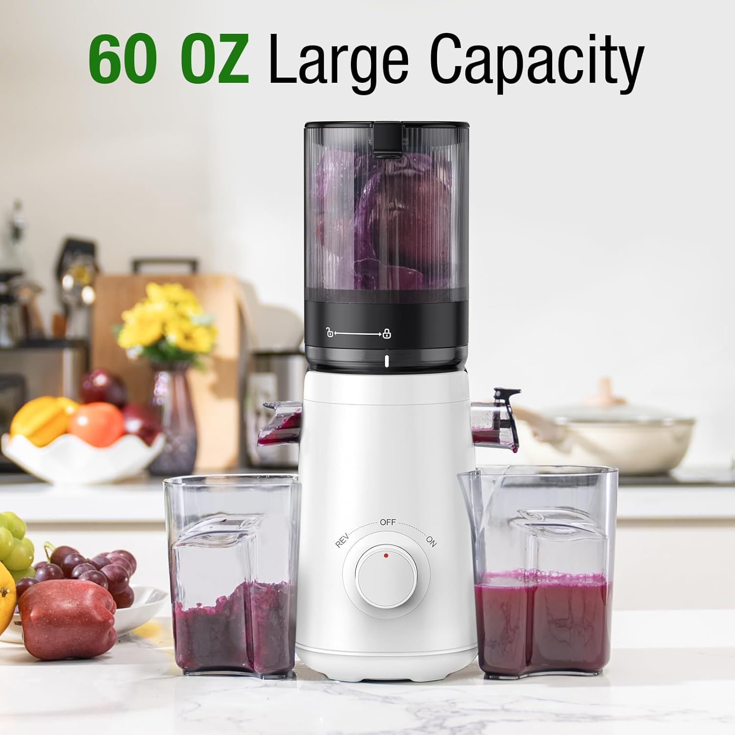 Juicer Machines, Cold Press Juicer with 5.3