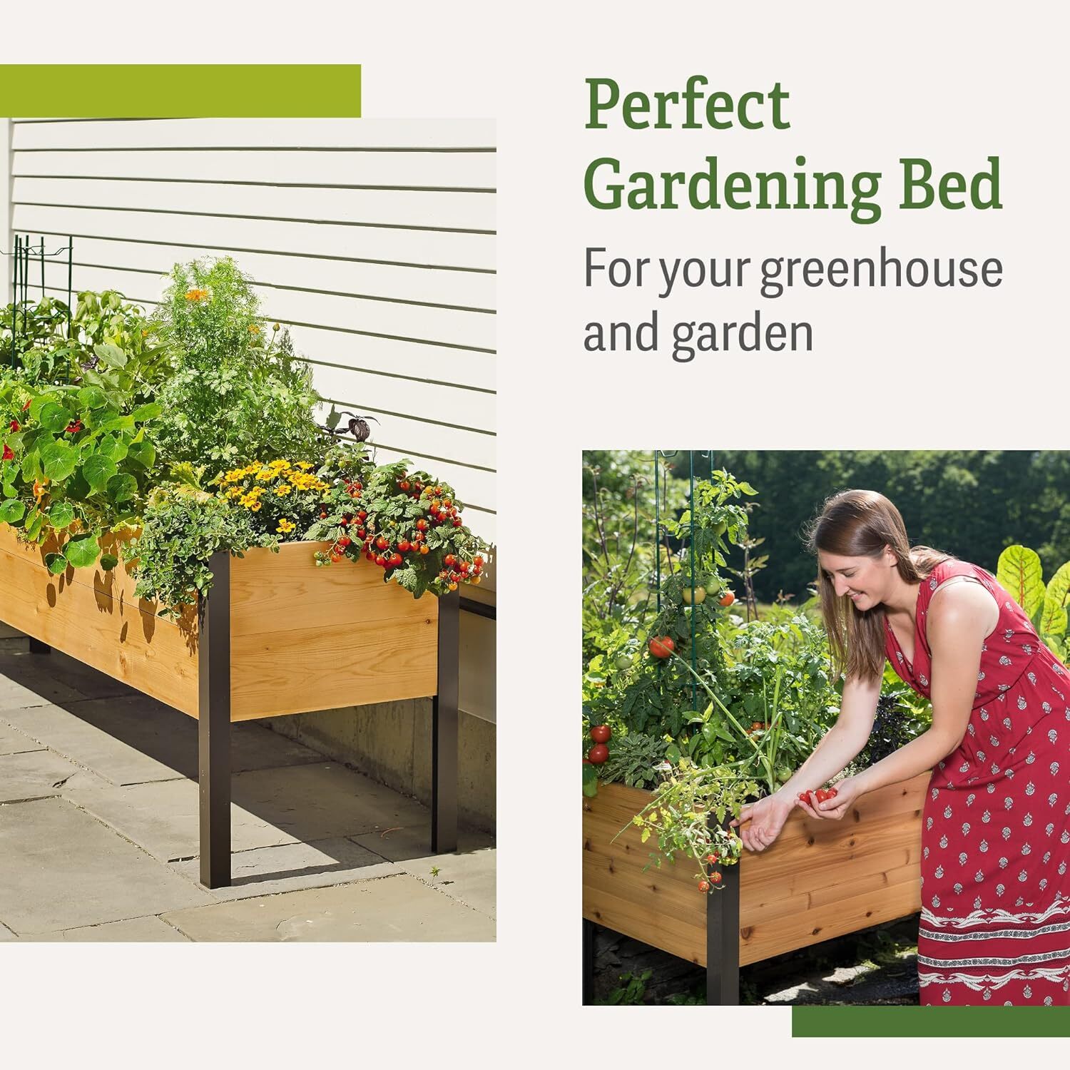 ✨✨- Garden Planting Box - Simple Gardening Made Easy to Assemble