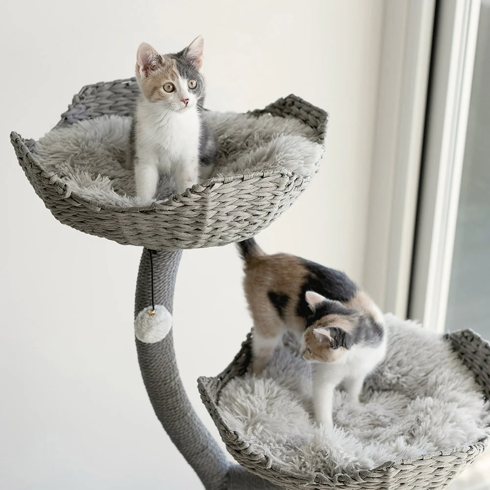 Cat Tree